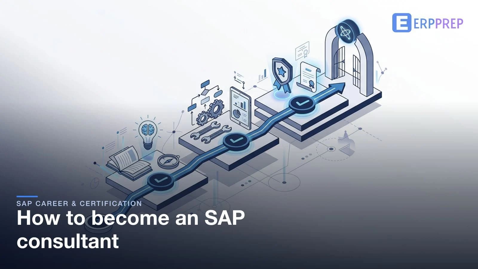 How to become an SAP consultant