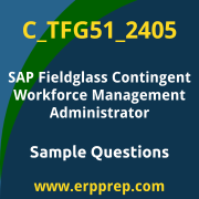 Get C_TFG51_2405 Dumps Free, and SAP Fieldglass Contingent Workforce Management Administrator PDF Download for your SAP Fieldglass Contingent Workforce Management - Administrator Certification. Access C_TFG51_2405 Free PDF Download to enhance your exam preparation.